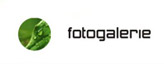 fotogalerie